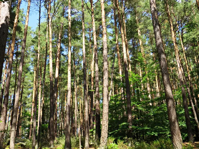 Foto: Brigitte Melder