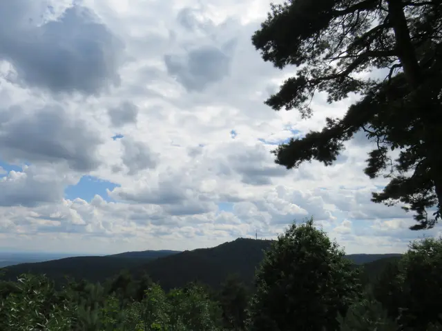 Foto: Brigitte Melder