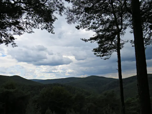 Foto: Brigitte Melder