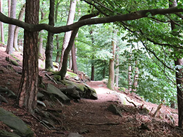 Foto: Brigitte Melder