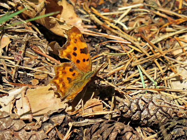 Foto: Brigitte Melder