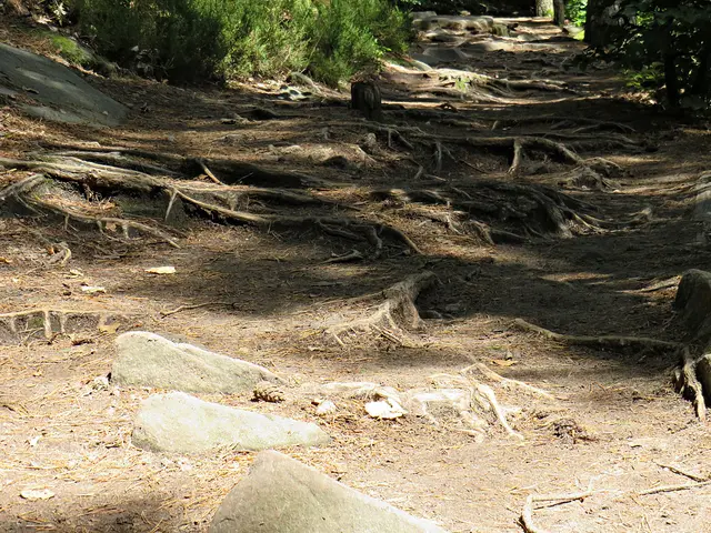 Foto: Brigitte Melder