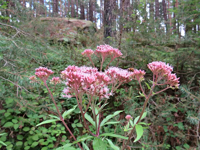 Foto: Brigitte Melder