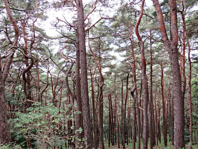 Foto: Brigitte Melder