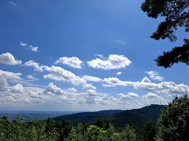Toller Blick von dort oben | Foto: Brigitte Melder