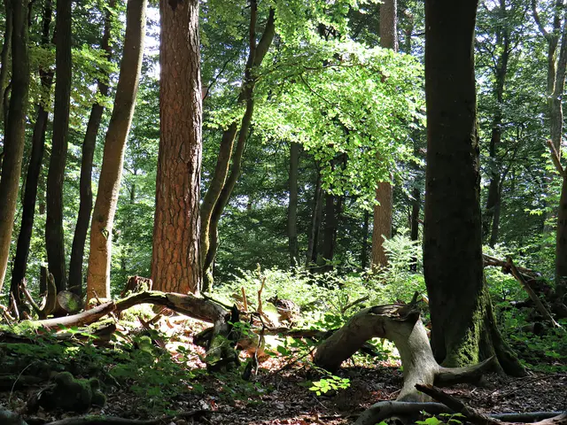 Foto: Brigitte Melder