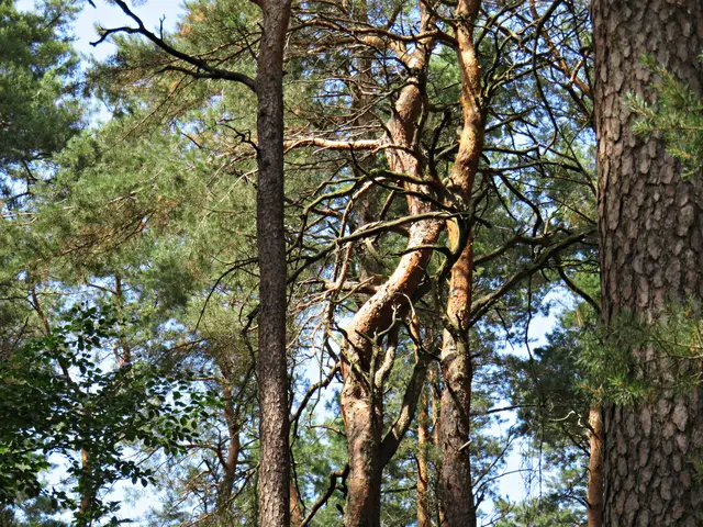 Foto: Brigitte Melder