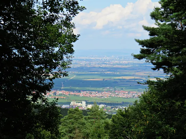 Foto: Brigitte Melder