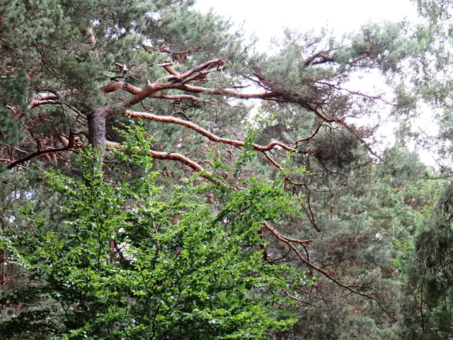 Foto: Brigitte Melder