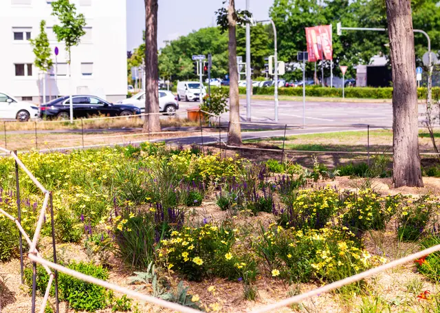 Es grünt so schön | Foto: Wolfgang Neuberth