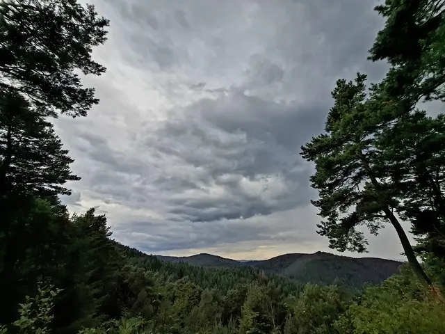 Foto: Brigitte Melder