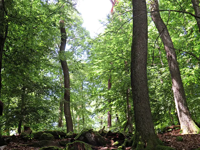 Foto: Brigitte Melder