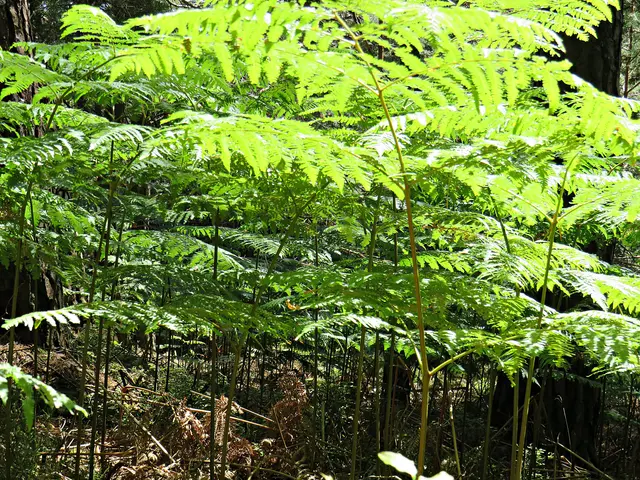 Foto: Brigitte Melder