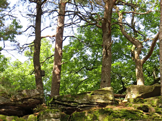 Foto: Brigitte Melder