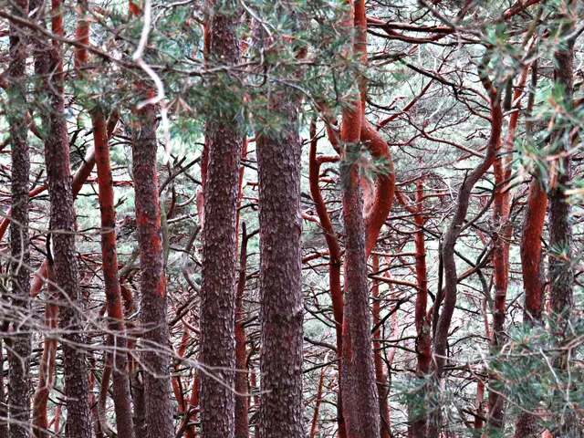 Foto: Brigitte Melder