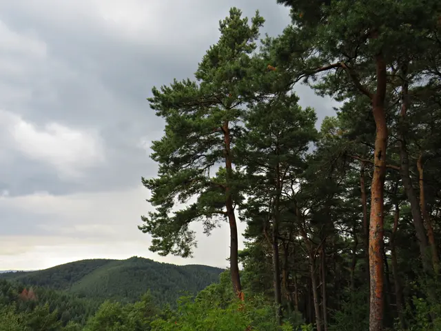 Foto: Brigitte Melder