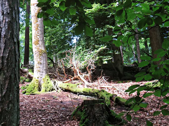 Foto: Brigitte Melder