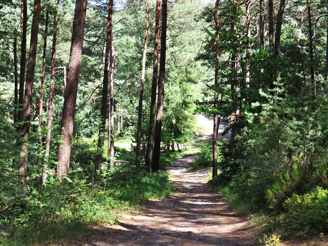 Foto: Brigitte Melder