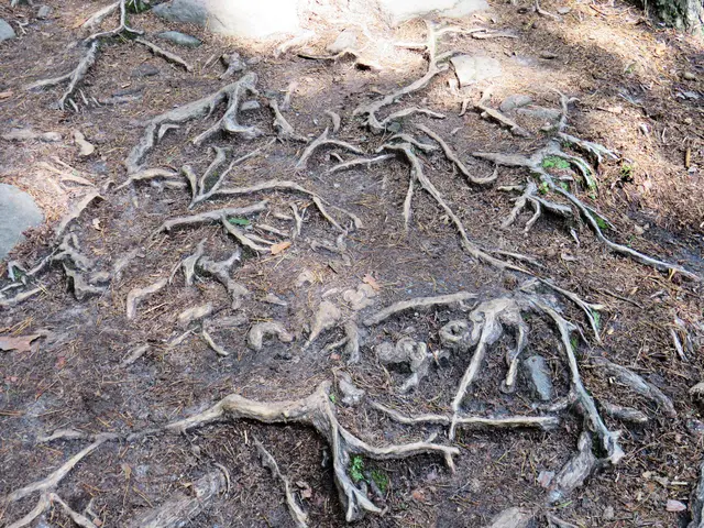 Foto: Brigitte Melder