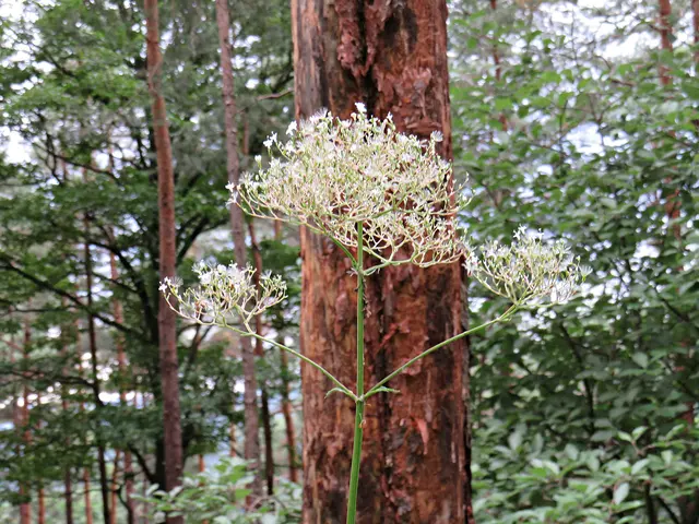 Foto: Brigitte Melder