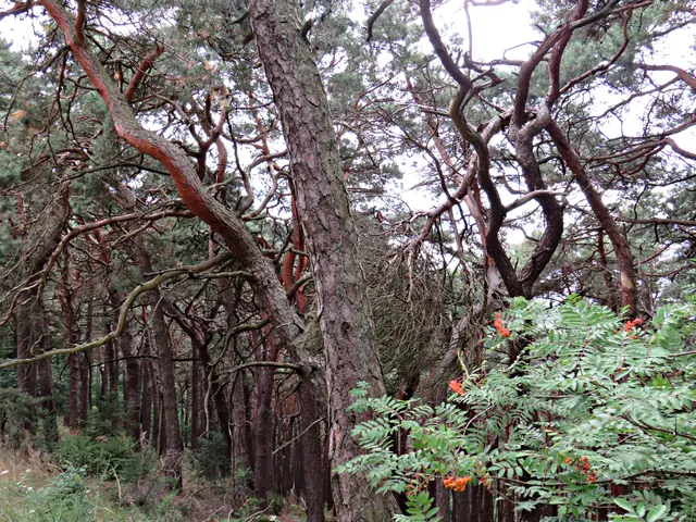 Foto: Brigitte Melder