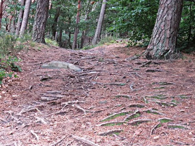 Foto: Brigitte Melder