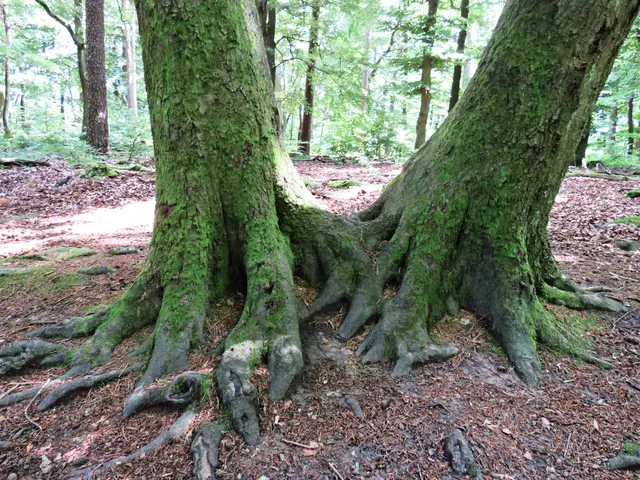 Foto: Brigitte Melder