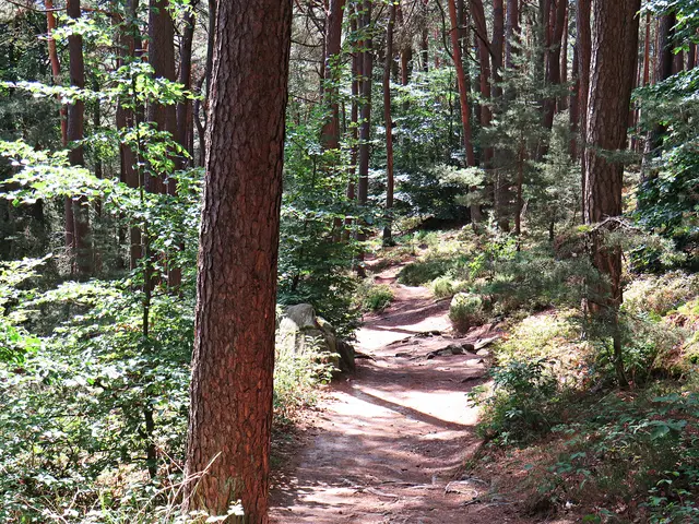 Foto: Brigitte Melder