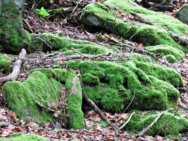 Foto: Brigitte Melder