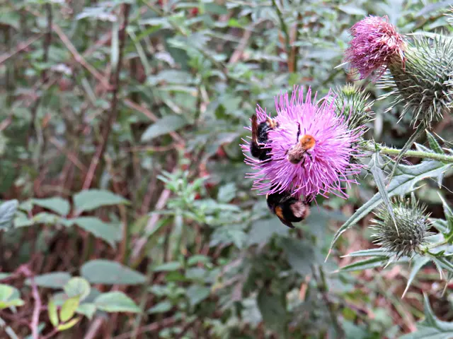 Foto: Brigitte Melder