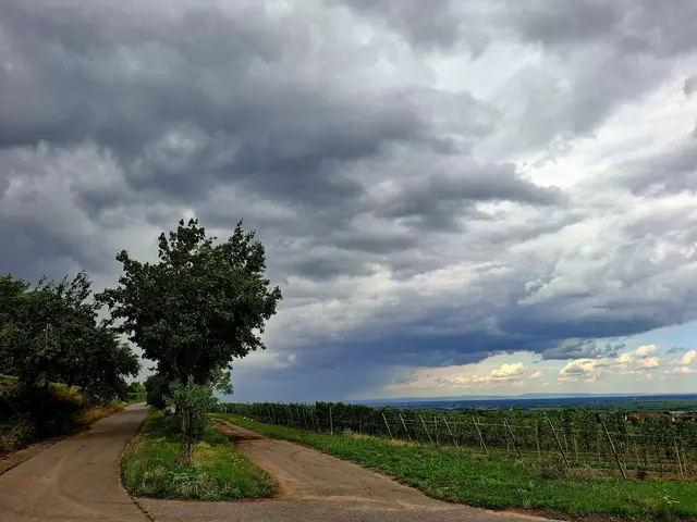 Foto: Brigitte Melder