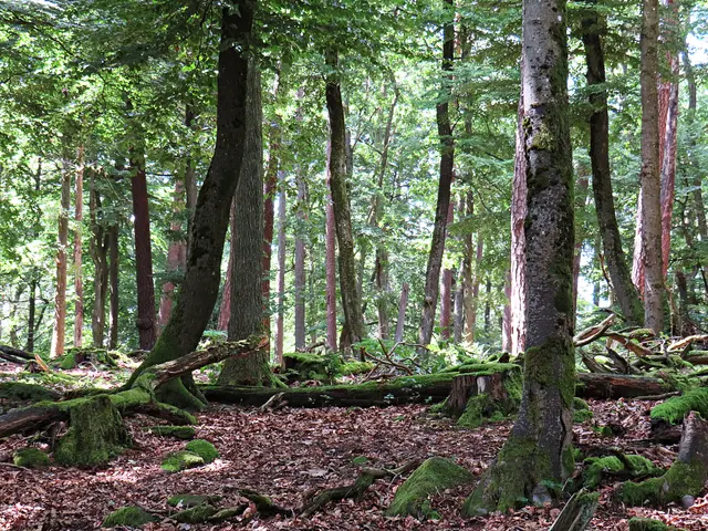 Foto: Brigitte Melder