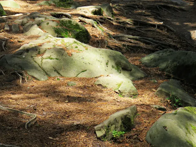 Foto: Brigitte Melder