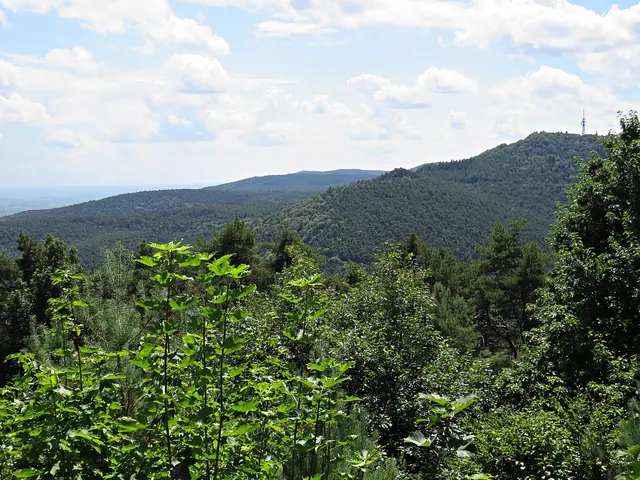 Foto: Brigitte Melder