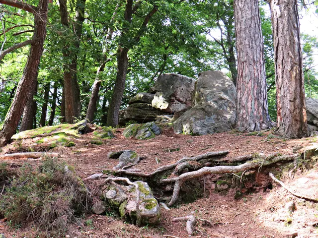 Foto: Brigitte Melder