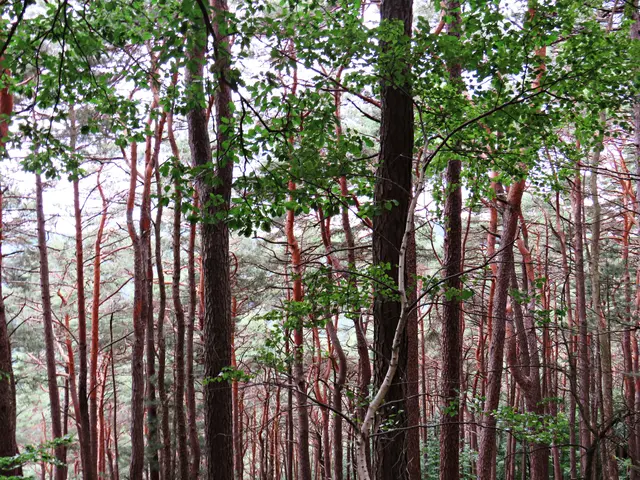 Foto: Brigitte Melder