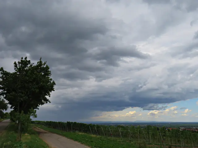 Foto: Brigitte Melder