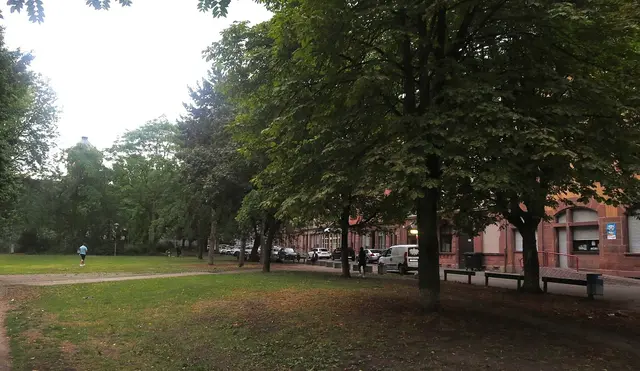 Foto: Julia Glöckner