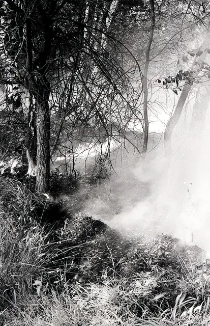 Der Torf sorgte für eine unterirdische Ausbreitung des Feuers, selbst dann, als es oberirdisch nur noch schwelte | Foto: Walter Potdevin