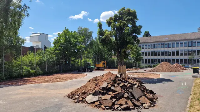 Gleich zu Beginn der Sommerferien hatte sich bereits einiges getan auf dem Schulhof des Gymnasiums am Rittersberg. Die deutliche Entsiegelung der Fläche ist unübersehbar. | Foto: Ralf Vester