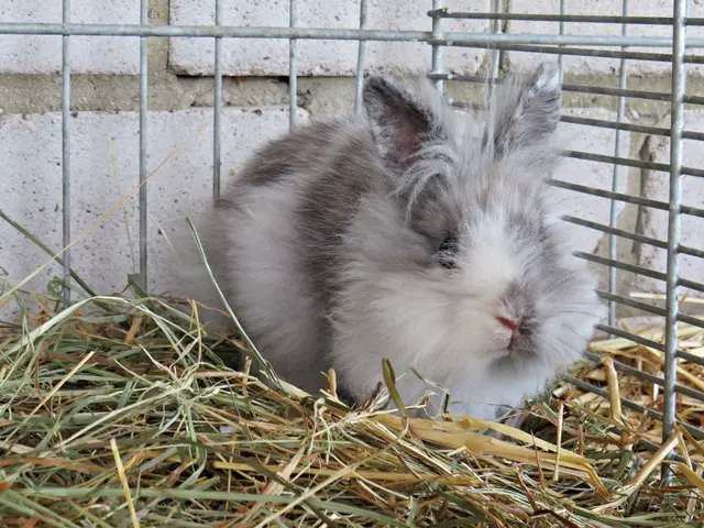 Foto: Brigitte Melder