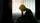 Kühl bleiben bei emotionaler Überforderung: Strategien für heiße Tage / Symbolbild | Foto: Nischaporn/stock.adobe.com