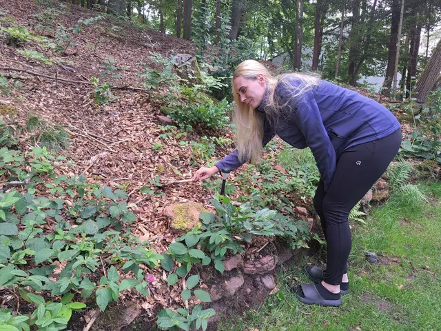 Direkt an die Rasenfläche schließt sich das Waldgrundstück an: Vanessa Baumgärtner zeigt das Laub am Boden, das dem Krainer Scheinbockkäfer tagsüber gute Versteckmöglichkeiten bietet  | Foto: Monika Klein