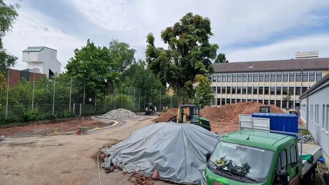 Der aktuelle Stand der Dinge. Die Ränder der entsiegelten Flächen werden eingefasst, und die Kastanie ist bereits gestutzt, bevor sie demnächst gefällt werden muss. | Foto: Ralf Vester