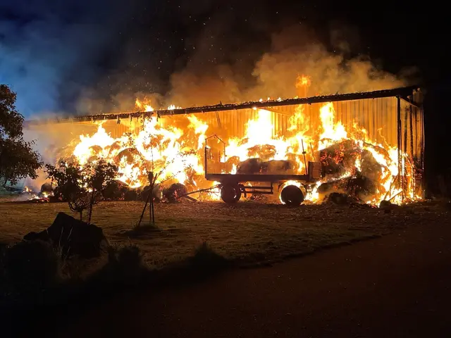 Auf einem landwirtschaftlichen Anwesen brannten rund 70 bis 100 Heuballen lichterloh | Foto: Polizeidirektion Pirmasens