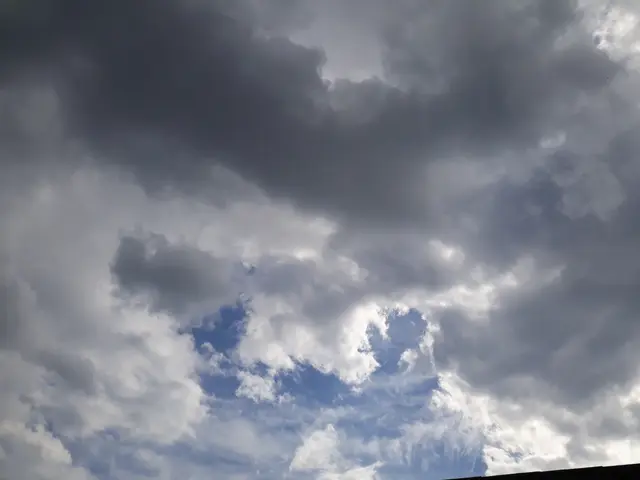 Foto: ELISABETH WEBER