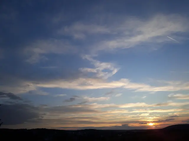 Foto: ELISABETH WEBER