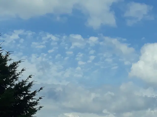 Foto: ELISABETH WEBER