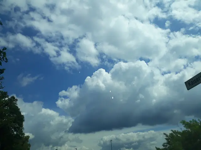 Foto: ELISABETH WEBER