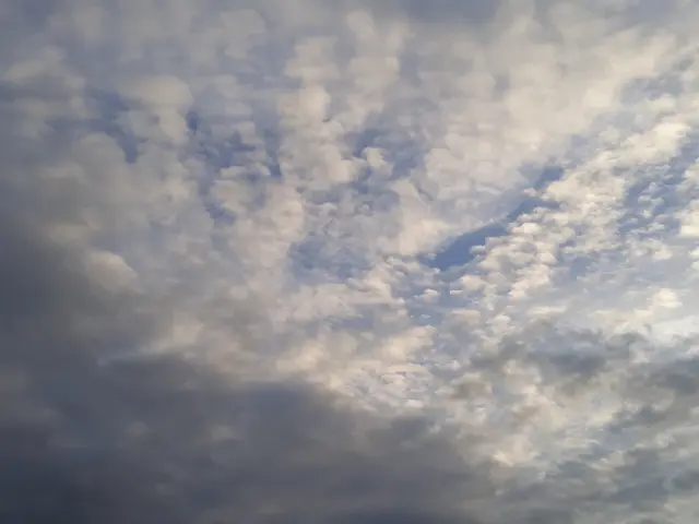 Foto: ELISABETH WEBER